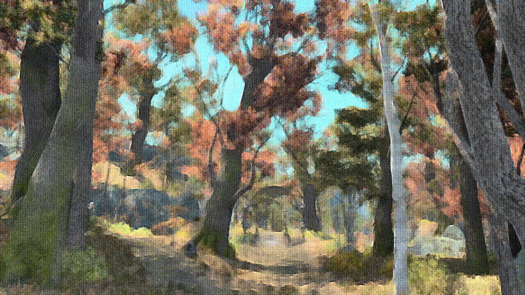 Landscape - In The Shroud